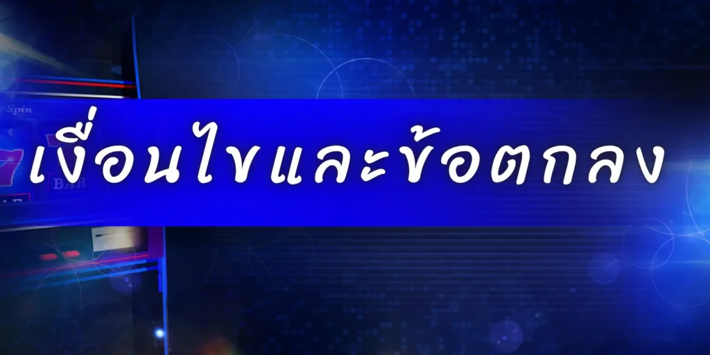 เงื่อนไขและข้อตกลง